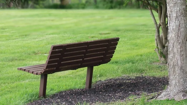 Quiet, reflective scene symbolising the process of working through grief and loss